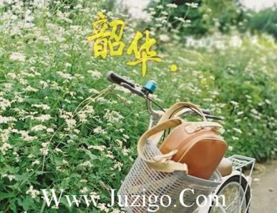 ​教师节的祝福语老师祝福语简短(精选26句)