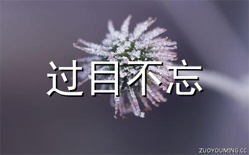 2016最燃的励志句子