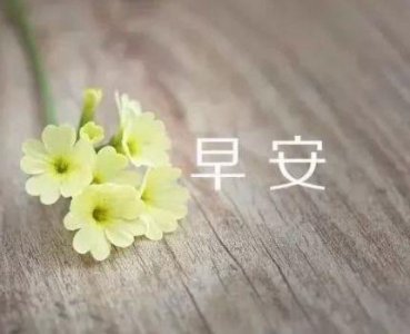 ​【精华】2025祝贺五四青年节微信问候语录汇编94句