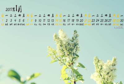 ​祝老师节日快乐的祝福语